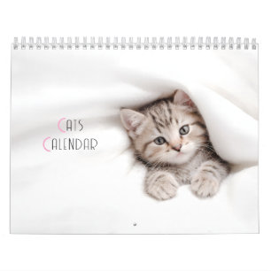 Niedliche Katzen Kalender