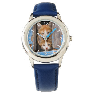 Niedliche Katzen-Kätzchen in der blauen Vintagen Armbanduhr