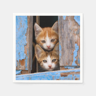 Niedliche Katzen-Kätzchen in einem blauen Vintage Serviette