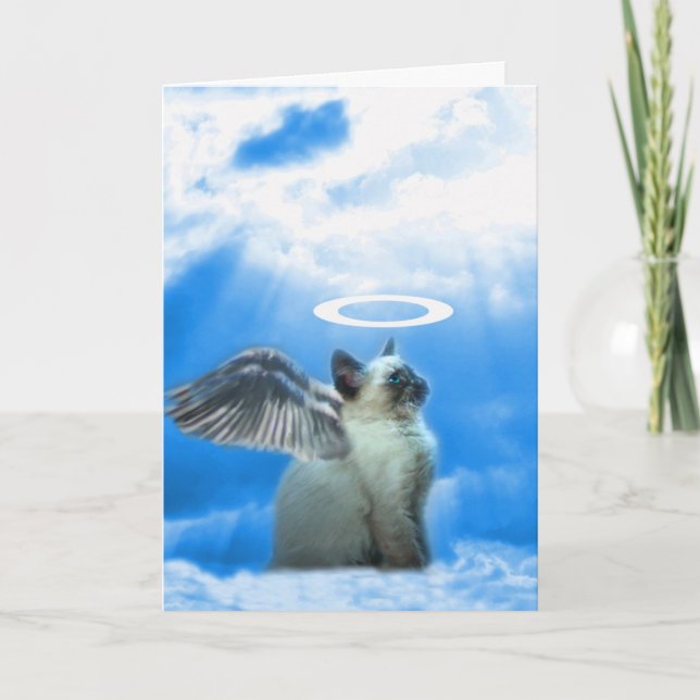 Niedliche Katzen-Kätzchen-Weihnachtskarte Feiertagskarte (Vorderseite)