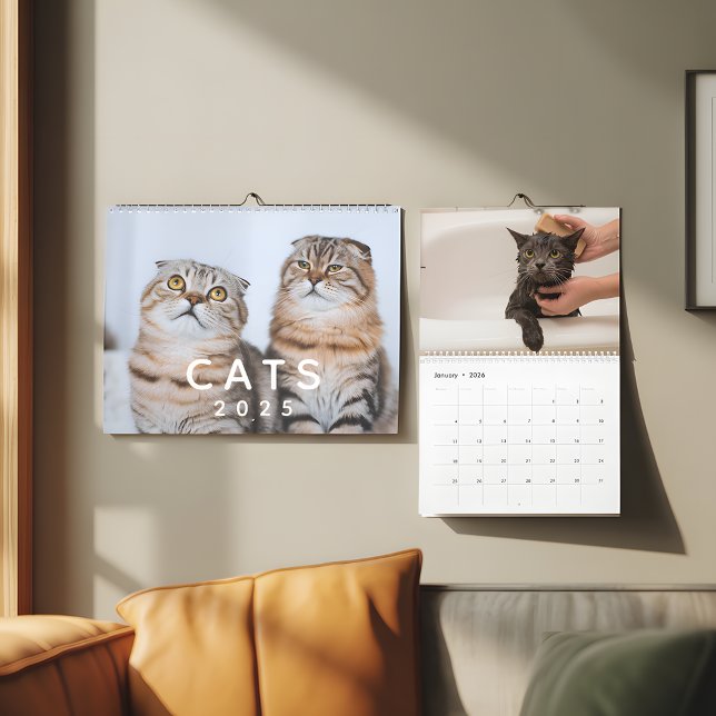 Niedliche Katzen Maßgeschneiderte Foto-Wand Kalender (Von Creator hochgeladen)