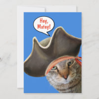Niedliche Katzen reden wie ein Piratentag
