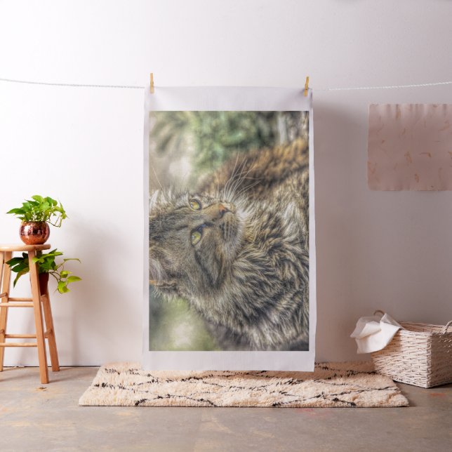 Niedliche Katzen-Sammlung 10 Stoff (Beispiel)