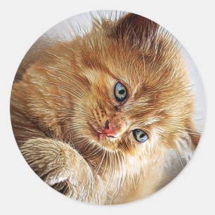 Niedliche Katzen-Sammlung Runder Aufkleber