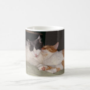 Niedliche Katzen Schlafkatzen Regel Tasse