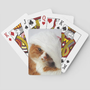 Niedliche Katzen-tragende Spielkarten