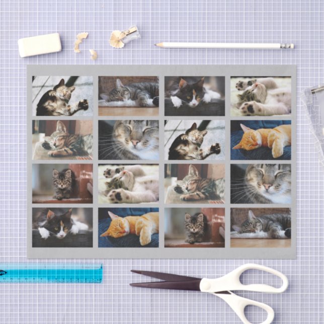 Niedliche Katzen und Kätzchen Fotovorlage auf Grau Seidenpapier (Handwerk)