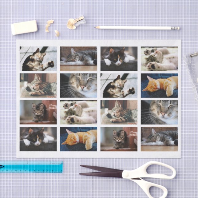 Niedliche Katzen und Kätzchen Fotovorlage auf Weiß Seidenpapier (Handwerk)