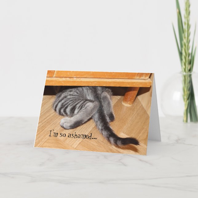 Niedliche Katzenapologie Funny Sorry So Ashamed Karte (Vorderseite)