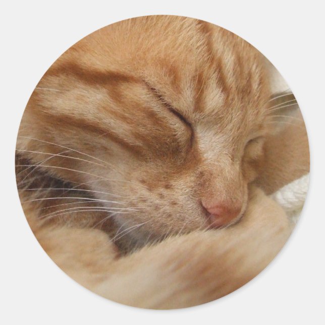 Niedliche Katzenaufkleber Runder Aufkleber (Vorderseite)
