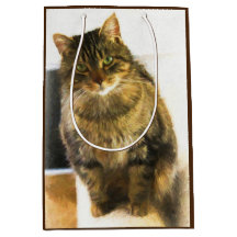 Niedliche Katzengeschenk