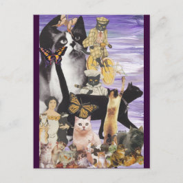 Niedliche Katzenkollektion 4 Postkarte