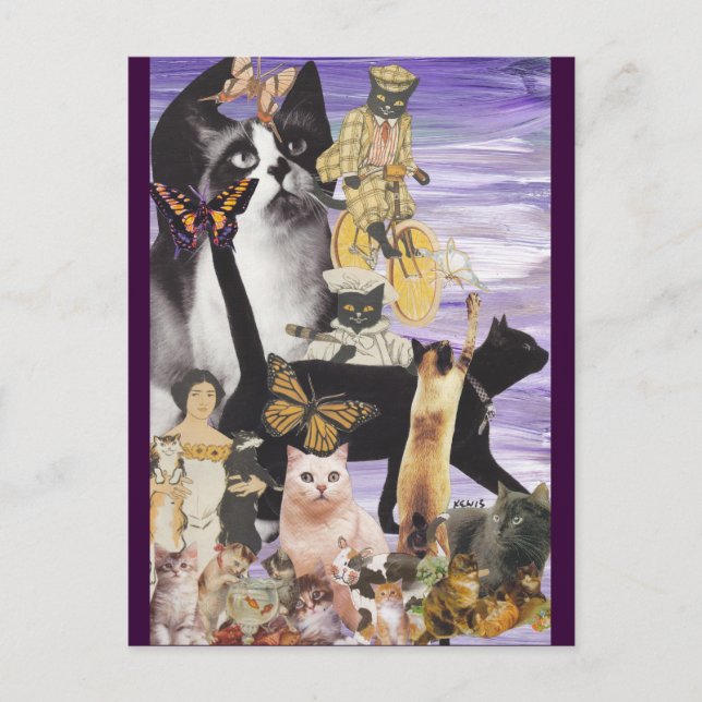 Niedliche Katzenkollektion 4 Postkarte (Vorderseite)