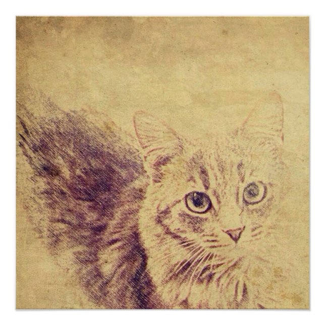 Niedliche Katzenliebling Poster (Vorderseite)