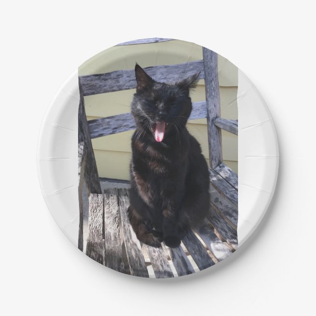 Niedliche Katzenplatte Pappteller (Vorderseite)