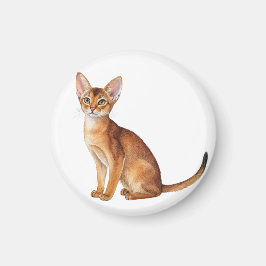 Niedliche Katzenrassen einschließlich einer Abessi Magnet