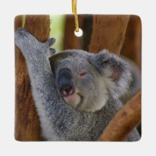Niedliche Keramik Koala Keramikornament