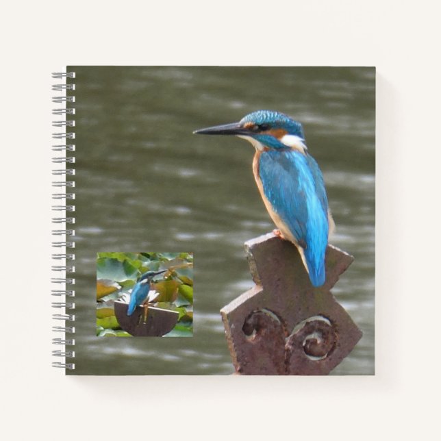 Niedliche Kingfisher (Birdwatchers Notebook) Notizbuch (Vorderseite)
