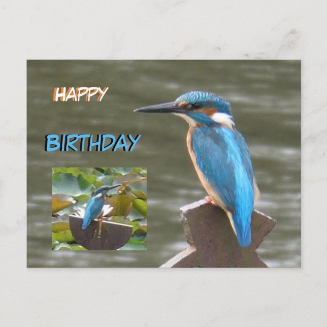 Niedliche Kingfisher Happy Birthday Postcard Postkarte (Vorderseite)