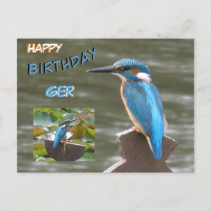 Niedliche Kingfisher Kust. Happy Birthday Postcard Postkarte