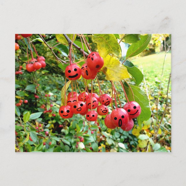 Niedliche Kirschen Postkarte (Vorderseite)