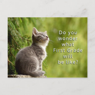 Niedliche Kitten Elementarschüler Begrüßung Postka Postkarte