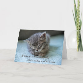 Niedliche Kittennotizkarte Ankündigung