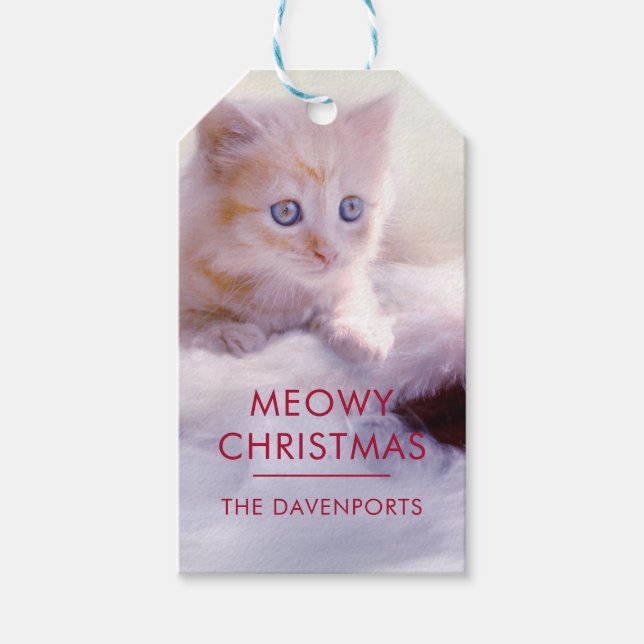 Niedliche Kittenruhe auf einer Weihnachtsmannmütze Geschenkanhänger (Vorderseite)