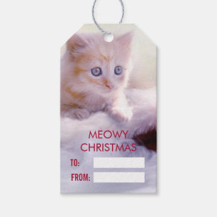 Niedliche Kittenruhe auf einer Weihnachtsmannmütze Geschenkanhänger
