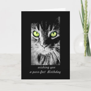 niedliche Kitty Cat Birthday Card Foto humorvoll Karte