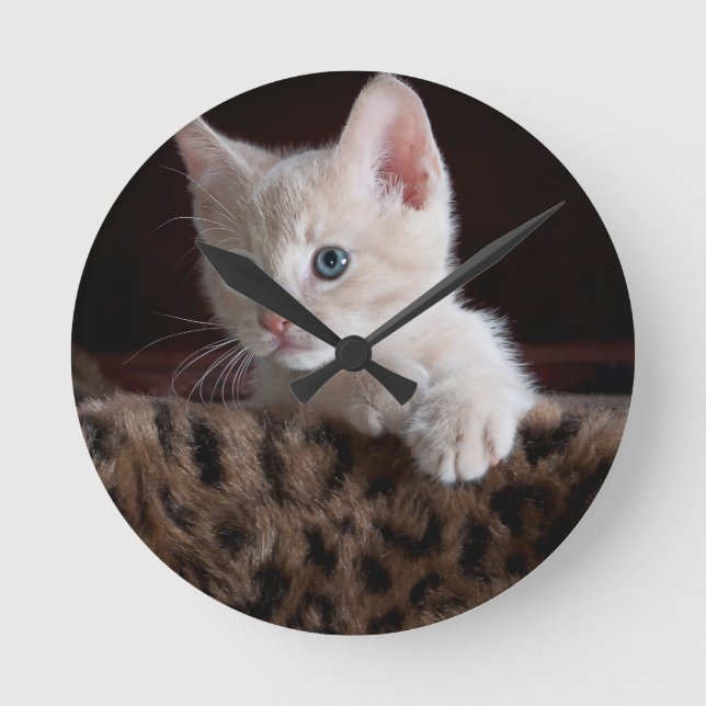 Niedliche Kitty-Looking Runde Wanduhr (Vorderseite)