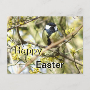 Niedliche kleine Bird Happy Osterpostkarte Postkarte