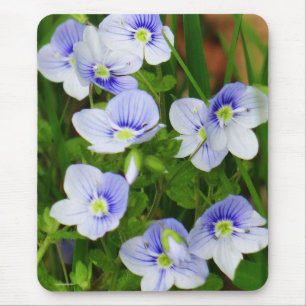 Niedliche, kleine blaue Blumen Mousepad