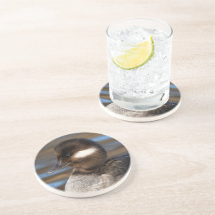 Niedliche kleine Buffelkopfente in sonnenbeleuchte Getränkeuntersetzer