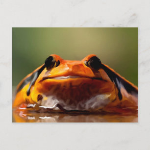Niedliche Kleine Frosch Amphibienart Postkarte