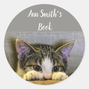 Niedliche kleine Katzen-Buchplatte zum Anpassen Runder Aufkleber