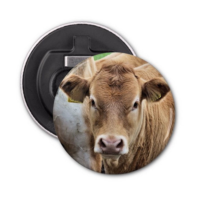 NIEDLICHE KLEINE KUHE FLASCHENÖFFNER (Vorderseite)