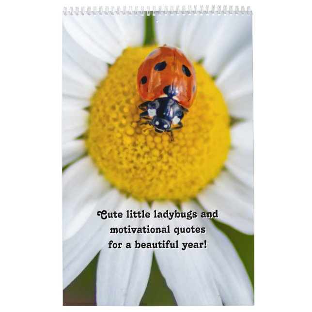 Niedliche kleine Ladybugs und motivierend Zitate Kalender (Titelbild)