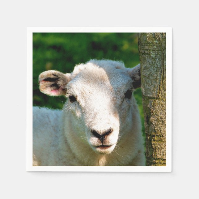 NIEDLICHE KLEINE SCHAFE SERVIETTE (Vorderseite)