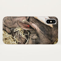 NIEDLICHE KLEINE SCHWEINE