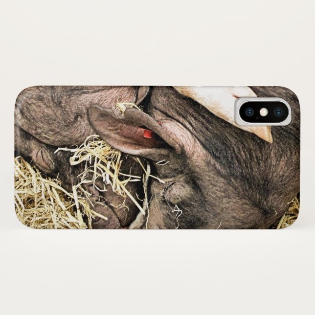 NIEDLICHE KLEINE SCHWEINE Case-Mate iPhone HÜLLE (Rückseite (Horizontal))
