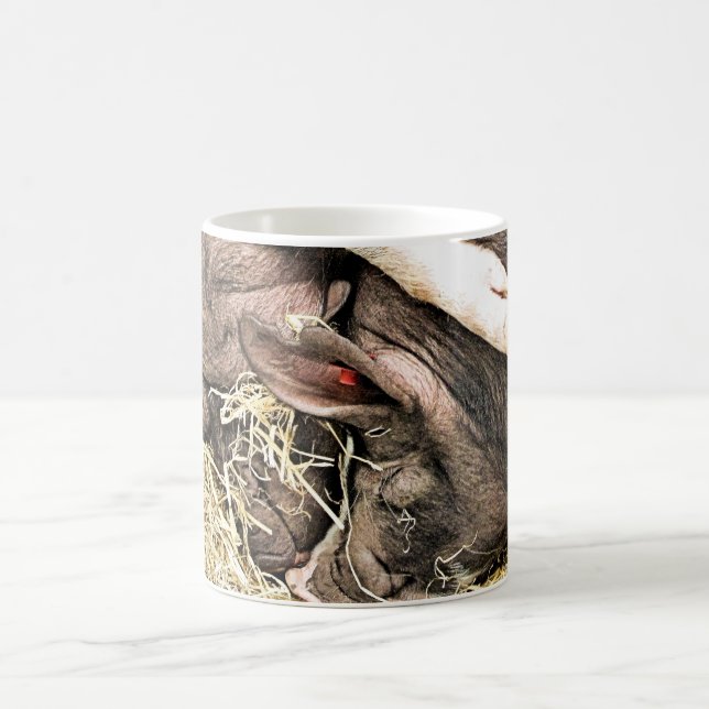 NIEDLICHE KLEINE SCHWEINE KAFFEETASSE (Mittel)