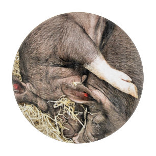 NIEDLICHE KLEINE SCHWEINE SCHNEIDEBRETT