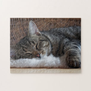 Niedliche Kleine Stripteppiche Puzzle