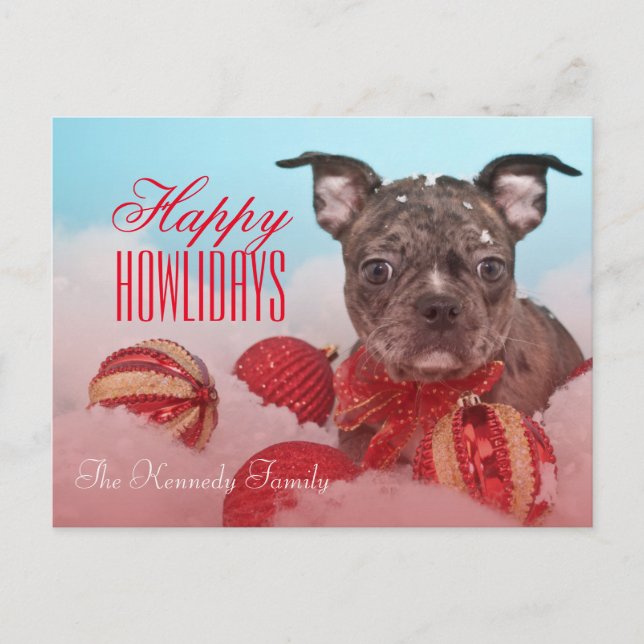 Niedliche Kleine Welpe Postkarte (Vorderseite)