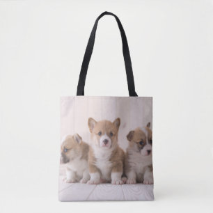 Niedliche Kleintiere 3 Baby Corgis