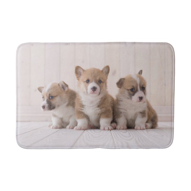 Niedliche Kleintiere | 3 Baby Corgis Badematte (Vorderseite)