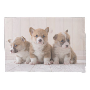 Niedliche Kleintiere 3 Baby Corgis Kissenbezug