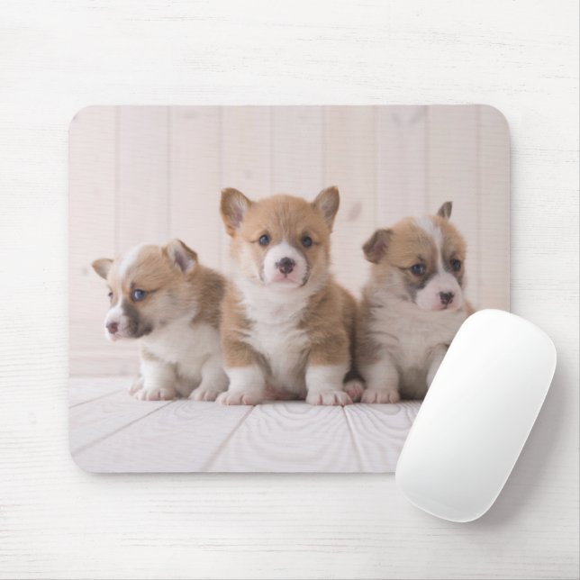 Niedliche Kleintiere | 3 Baby Corgis Mousepad (Mit Mouse)
