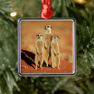 Niedliche Kleintiere   3 Meerkatze Ornament Aus Metall